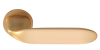 PAL-COS-20 BSG