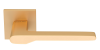 PAL-COS-14-S BSG